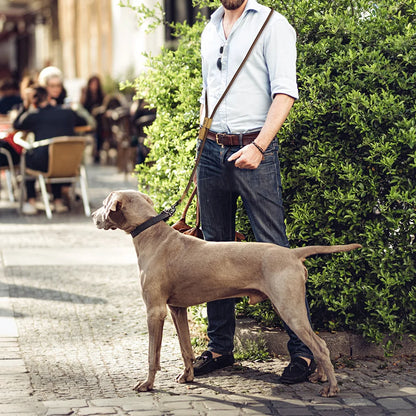 1.8M Large Dog Leash Waist Chain Traction For Running Walking Adjustment Simplicity Hands Free Dog Leash Leashes